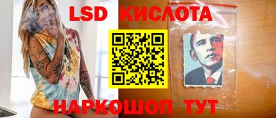 шишки Изобильный