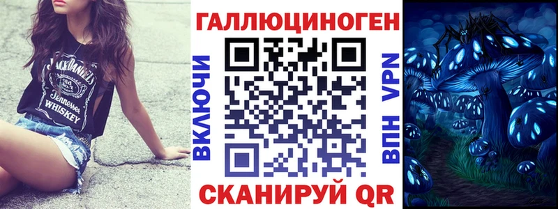 где купить   Азов  Галлюциногенные грибы GOLDEN TEACHER 