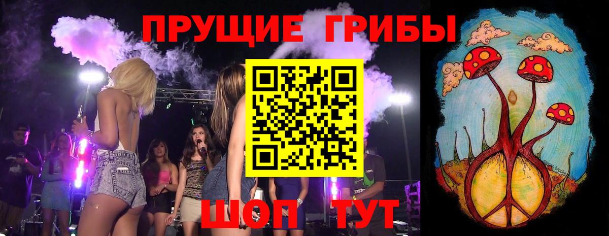 Псилоцибиновые грибы Cubensis  наркошоп  Азов  Галлюциногенные грибы Psilocybe  Вход с VPN 